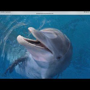 Meet your Posher, Sonya